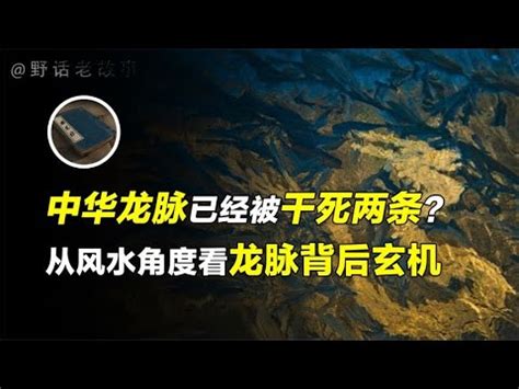 龍脈 意思|龍脈